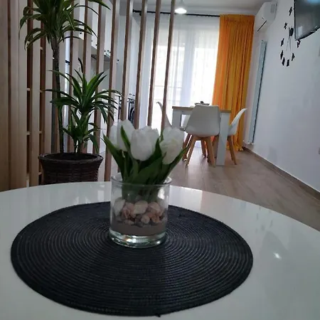 Apartment Joy Navodari